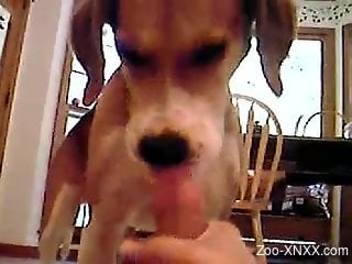 Sexy puppy helping the owner blow that big load
