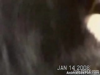 Hectic zoophile hardcore video with a horny dog