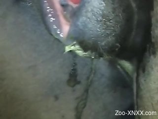Dude fisting his mare's delicious pussy on camera