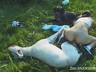 Sweet woman loves the dog dick fucking her so fine