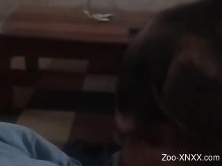 Dude jerking his hard penis in front of a sexy dog